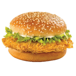 HAMBURGUESA DE POLLO EMPANADA/ PATTY CHICKEN BURGUER