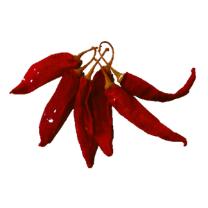 EP016 GUINDILLAS DE CAYENA 800GR./ PEPPER HOT 800GR.