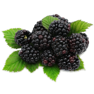 MORAS 1KG/ BLACKBERRIES