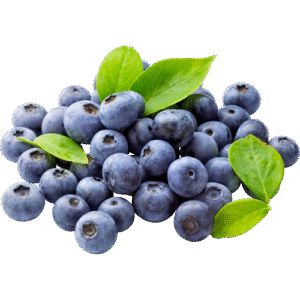 MIRTILLAS 1KG/ BLUEBERRY 1KG