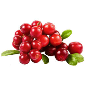 ARANDANOS/ CRANBERRY