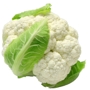 COLIFLOR/ COLIFLOWER