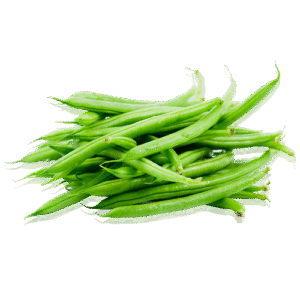 JUDIA REDONDA/ ROUNDED BEANS