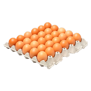 CARTONES DE HUEVOS 30 Uni./ EGGS 30 Units