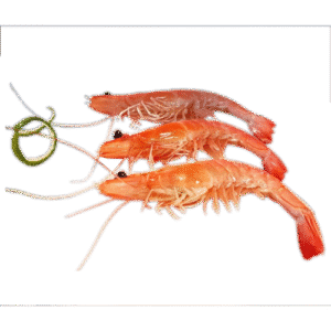 M010 GAMBON Nº2 / KING PRAWNS Nº2