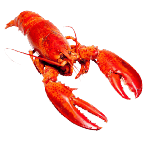 M011 BOGAVANTE 400GR./ LOBSTER 400GR.
