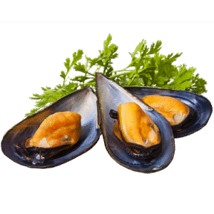 M022 MEJILLON M/C / MUSSELS M/C