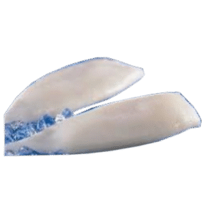 TUBO DE CALAMAR “M” / SQUID TUBE “M”