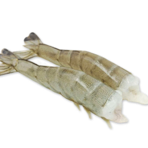 colaLangostino26 COLA LANGOSTINO / PRAWN TAIL 21/25